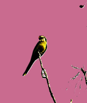 Cinematic Instrumental Music - Soundtracks &amp; Scores | Playlist