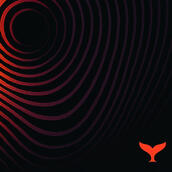 Ocean Pulse I Meditative Trance