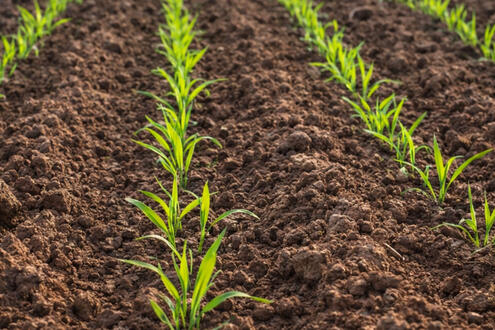 Deep Focus Music for Work &amp; Study - Concentration Flow | Playlist